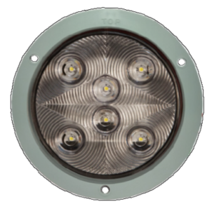 4067C – Entorno Industrial S.A. de C.V.